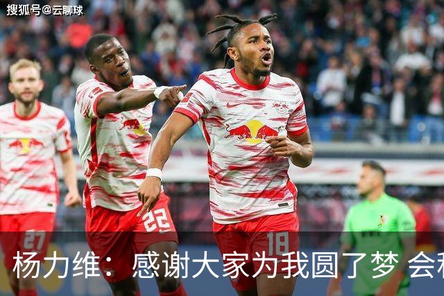 杨力维：感谢大家为我圆了梦 会积极面对伤病